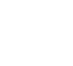 DiMe logo