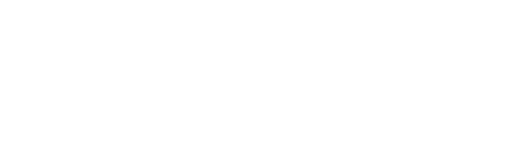 Nashville Innovation Alliance logo