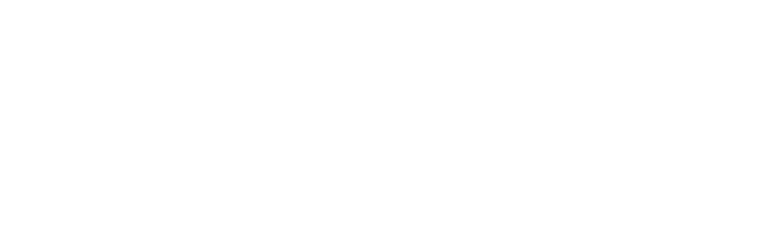 IDUN Technologies logo