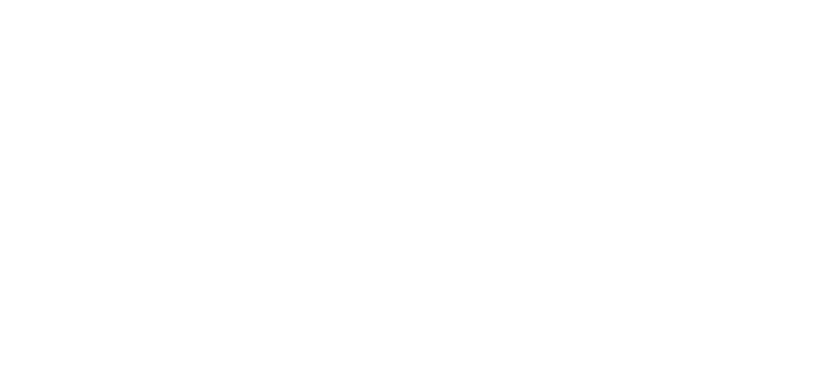 Nashville Area Chamber of Commerce logo