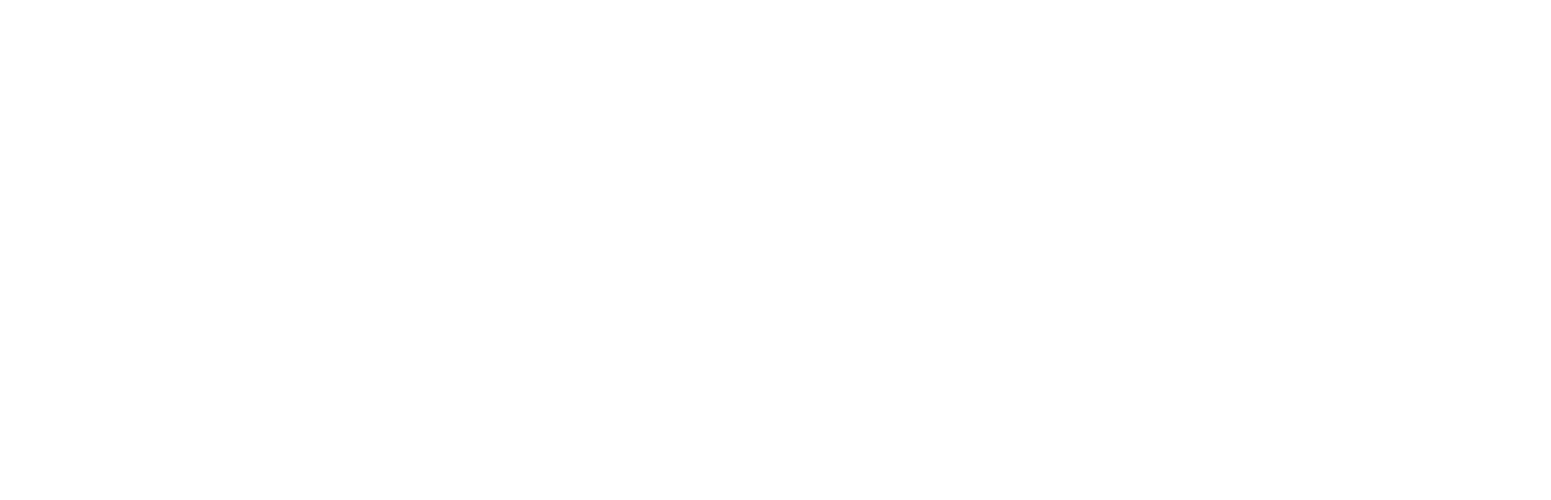 White - CrossSense - lockup - L